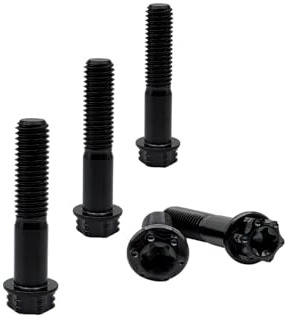RISON-Titanium Titanschrauben M8x1.25x25mm, 5 Stück Flanschschraube Torx Kopf Flansch Schrauben Sechskantschrauben Gewindeschrauben GR5 Titanbolzen Befestigungen für Motorräder Fahrrad Auto