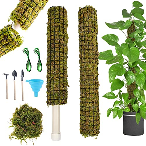 Voiakiu Moosstab für Pflanzen Monstera,Selbstbewässernde Pflanzenmoosstäbe für Kletterpflanzen | Sphagnum Moos Stick Pflanzenstütze für Topfpflanzen Kletterpflanzen