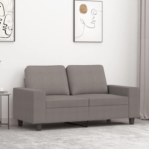 Qnhdfrt Zweisitzer Sofa Stoff Taupe 120 cm Kleines Sofa für Wohnzimmer mit Robustem Metallgestell und Bequemer Polsterung
