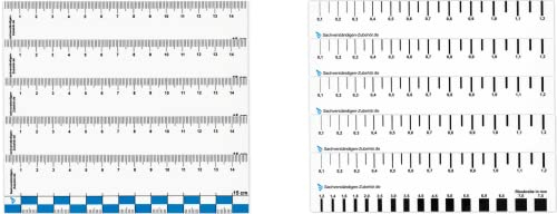 Sachverständigen-Zubehör® Fessurimetro 15 cm - [Set di 5 Fessurimetro per crepe] Monitoraggio delle crepe | Attrezzatura Perito | Fessurimetro Angolare | Righello della Larghezza della Fessura