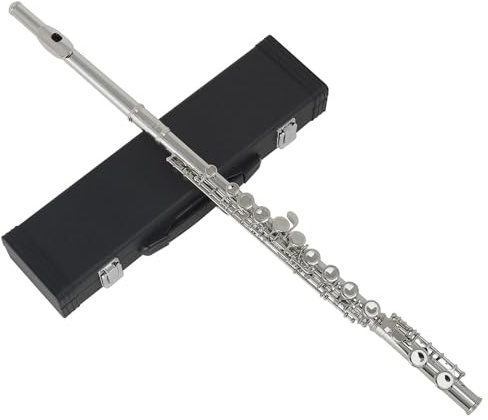 Flöte Flöte Mit 16 Geschlossenen Löchern C-Taste Flöte Performance-Flöte Holzblasinstrumente Querflöte Mit E-Taste(Silver)