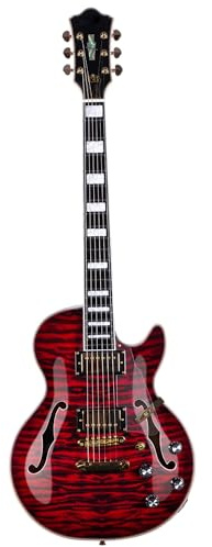 Elektrische Gitarre Musikinstrumente Anfänger Humbucker Pickup LP E Gitarre Palisander Griffbrett Professionelle Leistung Langlebig(Red)