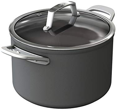 Ninja Foodi ZEROSTICK Pentola Antiaderente, Coperchio in Vetro di 22cm, Antigraffio, Compatibile con Piastra a Induzione, Lavastoviglie e Forno 260°C, Manici in Acciaio Inox, Grigio, C30422EU