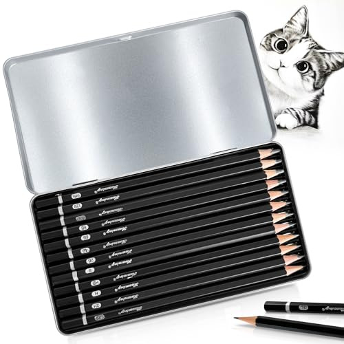 Bleistift Set, 12-Teiliges Zeichenstifte Set, Bleistift Zeichnen von 4H bis 14B Sketch Bleistiftset mit Graphitstifte für Künstler, Erwachsene, Zeichnungen, Skizzieren Liebhaberin (Typ 1)