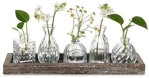 Hewory Mini Vase en Verre Decoratif - Set de 5 Soliflore avec Plateau en Bois pour Centre de Table - Style Vintage Design pour Decoration Interieur