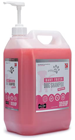 Baby Powder Dog Shampoo PRITTY PETS 5 LITRE Baby Fresh Dog Shampoo for Smelly Dogs - Professional PH Balanced, Cruelty Free, Vegan & Puppy Friendly Dog Grooming Shampoo - Made in the UK (5L with Pump)