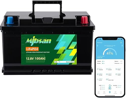 Mjbsan 12V 100Ah Deep Cycle LiFePO4 Batterie, 100A BMS, 4000-8000 Zyklen, max 1280W Leistung, perfekter Ersatz für Blei-Säure Batterien für Wohnwagen, Camping, Solar Home Systeme, Boote