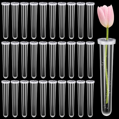 Jazlyvex 30 Stück Reagenzgläser für Blumen Transparent Blumenröhrchen Kunststoff Orchideenröhrchen mit Kappen 110×24mm Blumen Wasserröhrchen