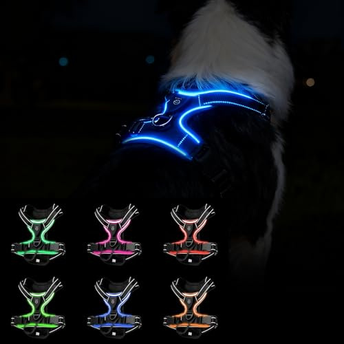 Hundegeschirr Leuchtend, Led Leuchtgeschirr Für Hund, Leuchtendes Hundegeschirr Mit Griff, Wiederaufladbare Led Hundegeschirrs, LEDs Geschirr Für Hunde Verstellbar, Für Nachtspaziergang, Schwarz, M