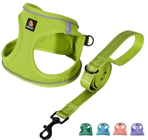 BELLA & PAL Hundegeschirr Kleine Hunde mit Leine, Step-in Geschirr aus Air Mesh, Anti Zug Reflektierend Atmungsaktiv Brustgeschirr, Welpengeschirr für Kleine Hunde, Katzengeschirr, Avocadogrün, XS