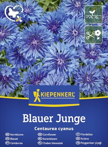 Kiepenkerl Kornblumensamen Blauer Junge 50930 - blaue, bienenfreundliche Sommerblume für Beet, Blumenwiese und Vase, loses Saatgut für ca. 80 Pflanzen, essbare Blütenblätter, einjährig