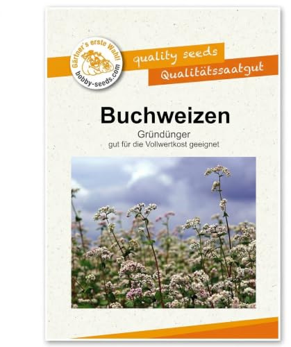 Gärtner's erste Wahl! Bobby-Seeds Buchweizen Gründüngung 50 g für ca. 5 m², Saatgut ohne Gentechnik, einjährige Zwischenfrucht, schnellwachsende Bodenbedeckung, insektenfreundliche Blüte