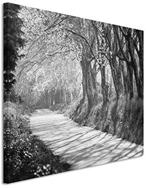 Sinus Art 50x70cm Wandbild Fotoleinwand Bild in Schwarz Weiss Allee Kirschbäume Thailand