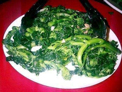 Broccoli RAAB - Spring RAPINI – 1000 Seeds