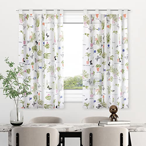 HOMEYA - Cortina Cocina Translúcida 140x180cm - Visillo Transparente Estampado para Ventana, Marco de Puerta - 1 Unidad