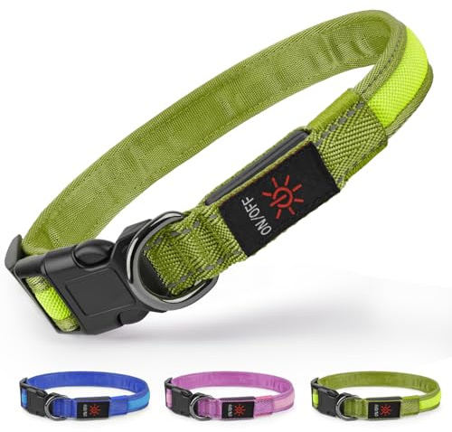 Ezierfy Leuchthalsband Hund - LED Hundehalsband Aufladbar Leuchtendes Hundehalsban Wasserdichtes Einstellbare Hunde Halsband für Kleine Mittlere Große Hunde (Grün, Mittel)