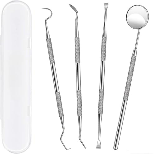 4 Pcs Stainless Steel Oral Care Kit – Teeth Cleaning Tools for Plaque & Tartar Removal, Fresh Breath & Healthy Smile