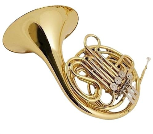 waldhorn instrument Waldhorn Vier-Tasten-Doppel-Performance-Instrument Anfänger-Dual-Purpose-Grade-Prüfung Lack Gold