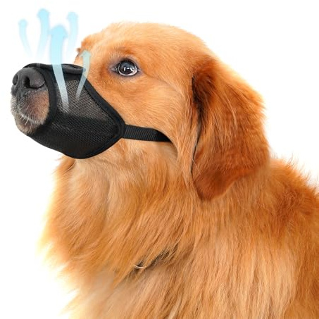 Yingphia Muselière pour chiens, respirante et potable, réglable, pour petits et grands chiens (chihuahua, berger allemand, bouledogue), sûre contre les morsures, les aboiements et la mastication (M)