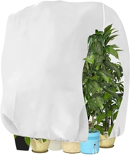 WEALSFUN Winterschutz für Pflanzen, 80x120cm Winterschutz Kübelpflanzensack Schutzhülle für Pflanzen als Baum Palmen Balkonpflanzen haube Zelt Atmungsaktiv - Reißfest,Weiß