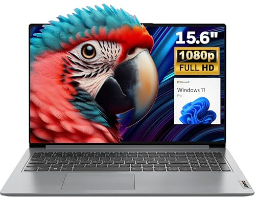 Lenovo IdeaPad - Laptop FHD de 15.6 pulgadas para negocios y estudiantes, 36 GB de RAM, SSD de 1 TB, procesador Intel de doble núcleo, WiFi6, Bluetooth 5.2, tipo C, HDMI, gris nube, Windows 11 Pro