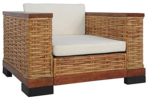 Camerina Sessel mit Auflagen Braun Natur Rattan Armlehnstuhl Esszimmer Schminktisch Stuhl