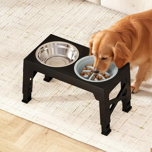Foldable Rasised Dog Bowl Stand with Slow Feeder, 5-Height Elevated Dog Bowls for Large Dogs – Includes 2 Stainless Steel Bowls, Portable & Non-Slip Design for Small Medium Large Dogs