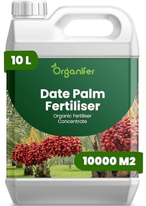 Engrais liquide organique 10L pour palmier dattier – favorise fleurs et feuilles luxuriantes – Organifer