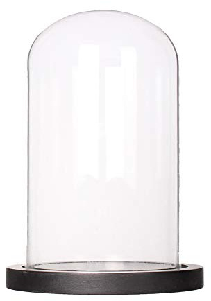 Somush Glass Cloche Bell Jar Display Dome with Black Wooden Base Dia 6 x H 10
