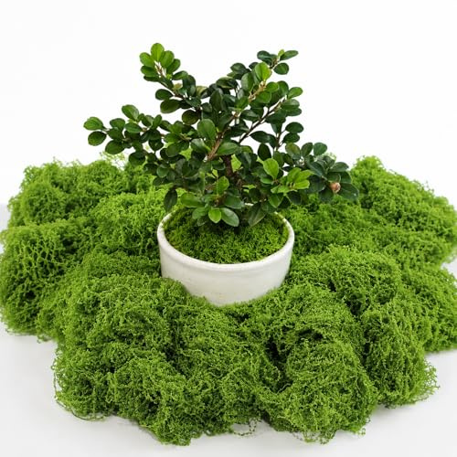 Annyswit Artificial Moss 150g with Gardening Tools Set of 3 - Light Green Decorative Moss for Crafting, Wreaths, Plant Pots and Floral Projects