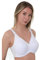 Gemm Ladies White Non Wire Cotton Rich Bra (38 F, White)