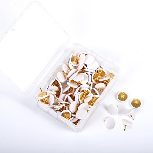 Aiweijia 100Pcs Decorative Flat Push Pin, Plastic Roundness Head Thumbtack, Thumb Tacks for School, Office, Map, Photo Wall, Cork Board Bulletin Board White