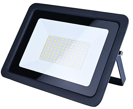 ZYGPH Projecteur LED d'extérieur, étanche IP68, 10 W, 20 W, 30 W, 50 W, 100 W, éclairage de Jardin extérieur (1 pièce, 100 W, Froid 6 000 K)