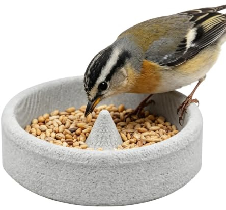 Comederos de Ventana- para Aves al Aire Libre Plato Pequeño | Para Avistamiento De Aves Para Alimentación Plato De Comida Y Agua Jardín