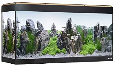 Fluval Aquarium Roma éclairage LED Bluetooth, 200 l, Chêne