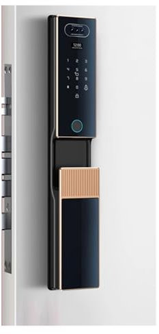 VEKELETE Serratura Intelligente con riconoscimento facciale, Impronta Digitale, App WiFi, Controllo remoto, Serratura Elettronica for cancello di Sicurezza Domestica con Cilindro