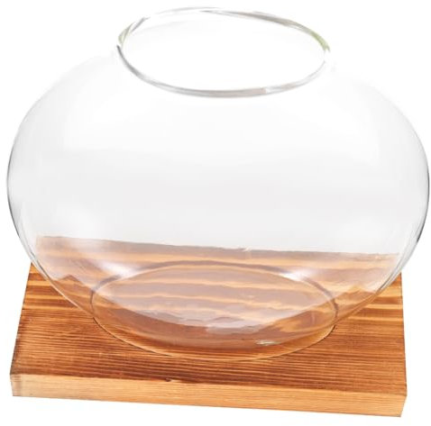 iplusmile Glas Vase Für Pflanzen Hydrokultur Mit Basis Für Zuhause Büro Dekoration Kleine Tisch Schmuck Für Blumenarrangements Und Vasendekoration
