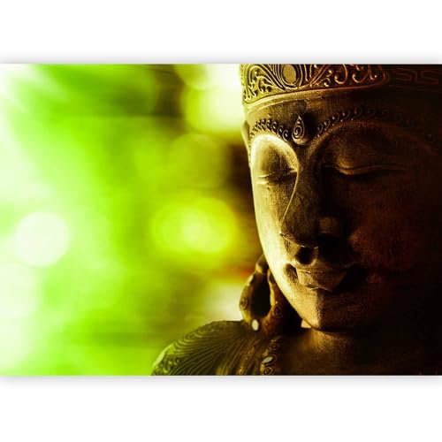 murando Fotomurales 200x140 cm XXL Papel pintado tejido no tejido Decoración de Pared decorativos Murales moderna Diseno Fotográfico Buda h-a-0051-a-b