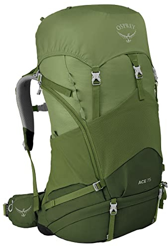 Osprey Ace 75 Wanderrucksack für Kinder, unisex - Venture Green O/S