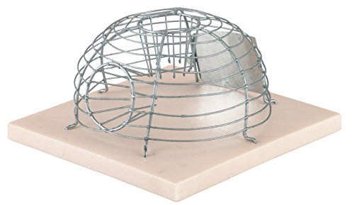 Kerbl 299617 - Trappola per Topi con 2 ingressi