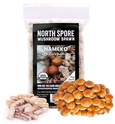 North Spore Bio Nameko (100 ct) Pilzstecker für Holzscheite | Premium Qualität Pilz Plug Spawn | Handgefertigt in Maine, USA | Gourmetpilze im Freien auf Holzscheiten anbauen | Pholiota nameko