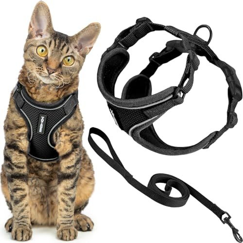 Best Pet Supplies Voyager-Set, ausbruchsicheres Katzengeschirr mit 1,5 m langer Leine, reflektierende Nähte, Neoprengriff, für kleine, mittelgroße und große Katzen, Schwarz, Größe M (Brustumfang: 41,9
