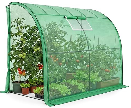BDW Serre adossée avec structure en métal et film polyéthylène, 100 x 200 x 210 cm, protection UV, 1 porte et 2 fenêtres, acier revêtu par pulvérisation (vert)