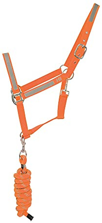 HyVIZ Reflektor Halfter und Führstrick (Full) (Orange)