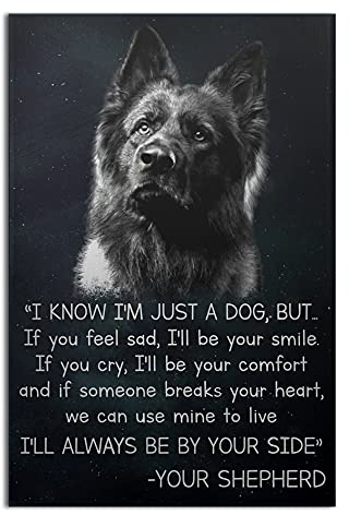TNND German Shepherd I'm Just A Dog - German Shepherd Lover Gift for Owner - Metal Sign Bathroom Decor Vintage Mural 8X12 Inches