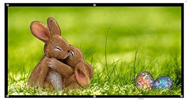 Pantalla de proyección 3D 250,300 Pulgadas 16: 9 Pantalla de Plata 3D Frente portátil sin Marco Puede ser Plegable for Full HD 3D Proyector Juegos, Oficina(250 Inch)