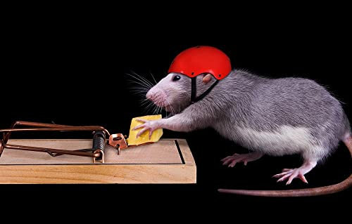 LHJOY Jigsaw Puzzle 1000 Piece Mousetrap Mouse 75x50cm