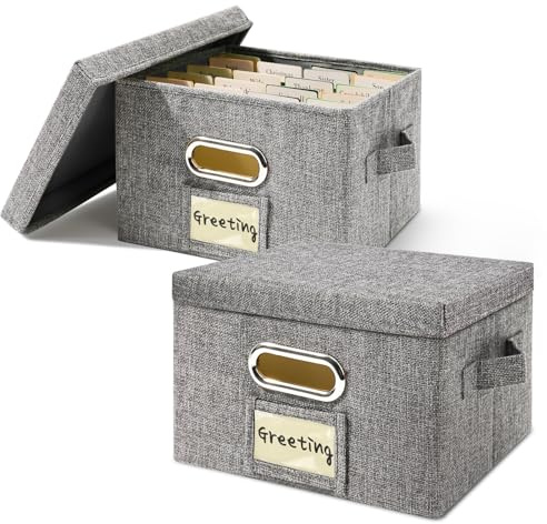 Vienrose Organiseurs de Cartes de Vœux, Boîte de Rangement Pliable avec 20 Séparateurs Réglables pour Ranger Cartes Autocollants Recettes Photos Enveloppes Factures Disques Vinyles, Gris, 2 Paquet