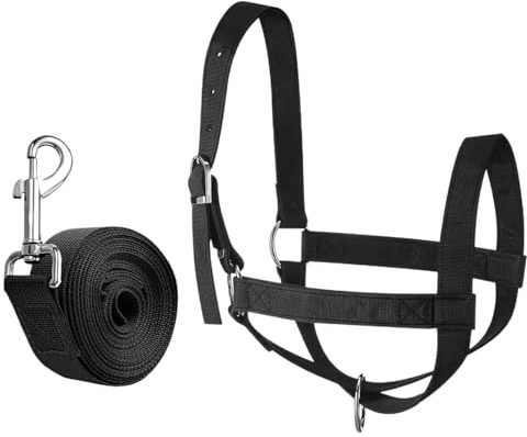 Halter för vad | Kalv
