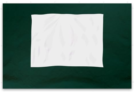 Nexos 2 Stück Seitenteile mit Fenster für Profi Falt-Pavillon Festzelt PE 180 g/m² – grün